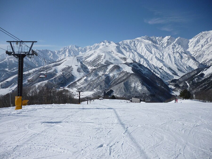 Hakuba Iwatake snow field detail in summer