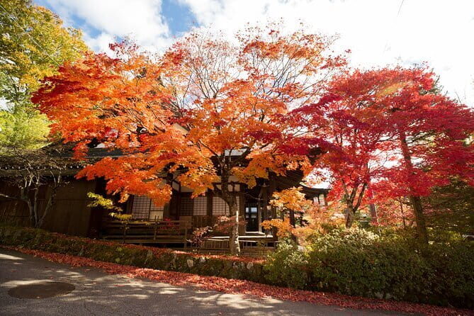 Half Day Walking Tour Takayama’s Hidden Gems and Temple Walk - Key points to know before you go