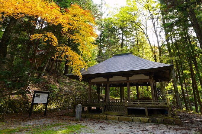 Half Day Walking Tour Takayama’s Hidden Gems and Temple Walk - Practical details that affect your day