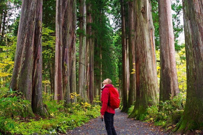 Half-Day Zenkoji Tour with Tea Experience - The walking, pacing, and how to plan your afternoon