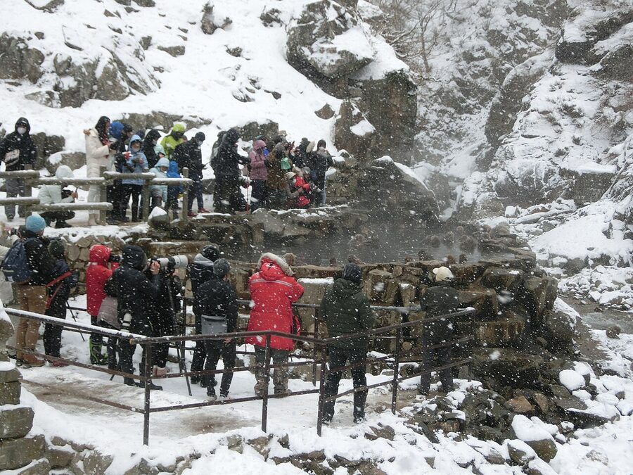 Tourists watching the macaques at the Jigokudani pool