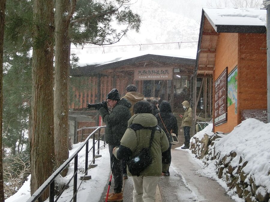 The Jigokudani approach trail in winter snow