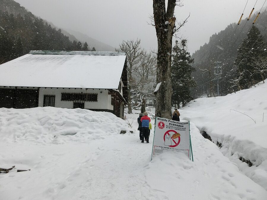 The forest trail leading to Jigokudani Yaen-koen monkey park