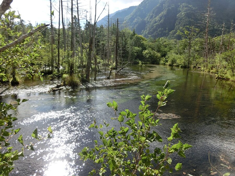 Dakesawa Marsh near the Kappa-bashi, Kamikochi