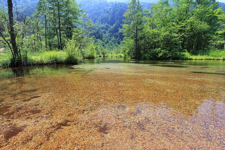 Wide view of the Kamikochi valley