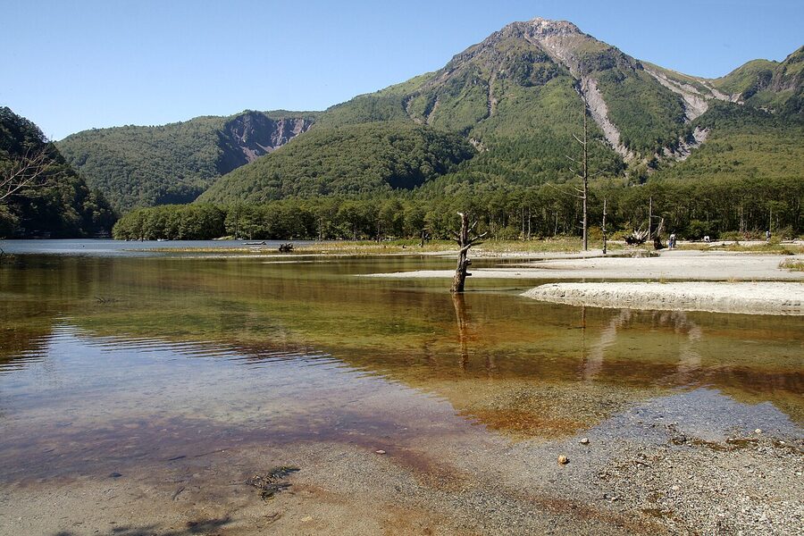 Taisho-ike pond at Kamikochi with Yakedake reflected and standing deadwood