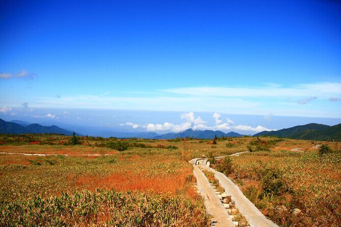 Kanazawa Day Tour: Shomyo Falls & Tateyama Mountain Walks - A 10-Hour Kanazawa Day Tour That Actually Feels Like Mountains