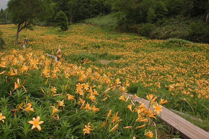 Kanazawa Day Tour: Shomyo Falls & Tateyama Mountain Walks - The Value Question: Why $250.39 Can Make Sense