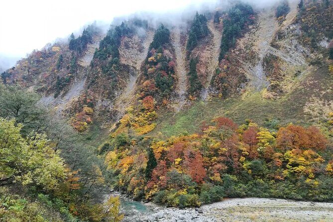 Kanazawa Day Tour: Shomyo Falls & Tateyama Mountain Walks - Timing, Group Size, and What Your Day Feels Like