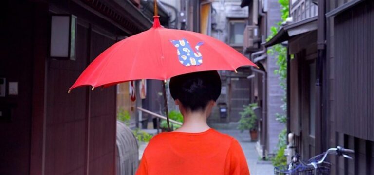 Kanazawa: Half-Day Private Guided Tour - Hotel pickup and the pace you can actually handle
