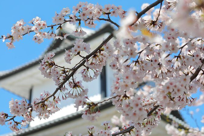 Kanazawa private 1 day/Photoshoot by professional photographer - Private photoshoot pacing in Kanazawa: how the day flows