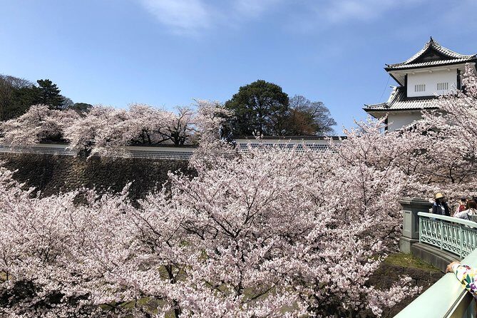 Kanazawa Private Tour: Highlights of an Old Samurai Town - Private-guide value: how the best days feel less like a script