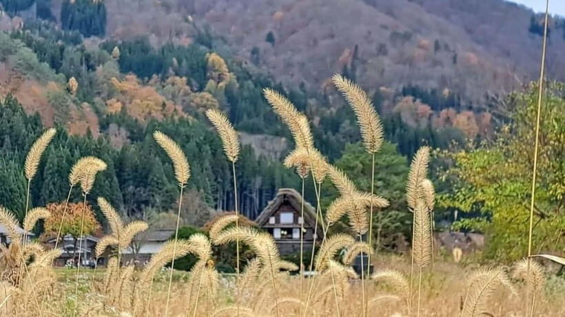 Kanazawa/Takayama: Shirakawago & Takayama Private Day Tour - Key Highlights Worth Booking For