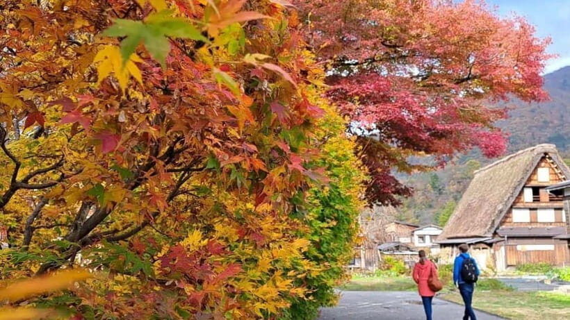 Kanazawa/Takayama: Shirakawago & Takayama Private Day Tour - A Private Day That Feels Like a Real Local Detour