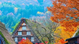 Kanazawa/Takayama: Shirakawago & Takayama Private Day Tour - Getting There: Pickup Options and the 8-Hour Rhythm