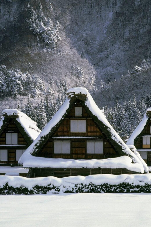 Kanazawa: World Heritage Shirakawa-go & Two Local Experience - Who this tour suits best