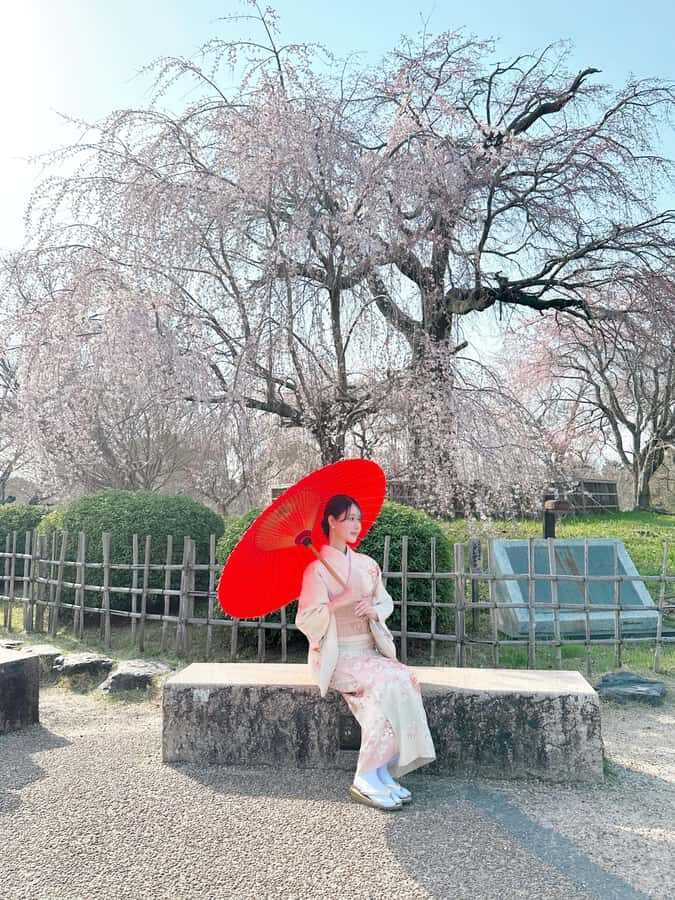 Kanazawa:Traditional Experience -kimono rent at wargo - Where you’ll start: WARGO on the G floor in the middle of the sights