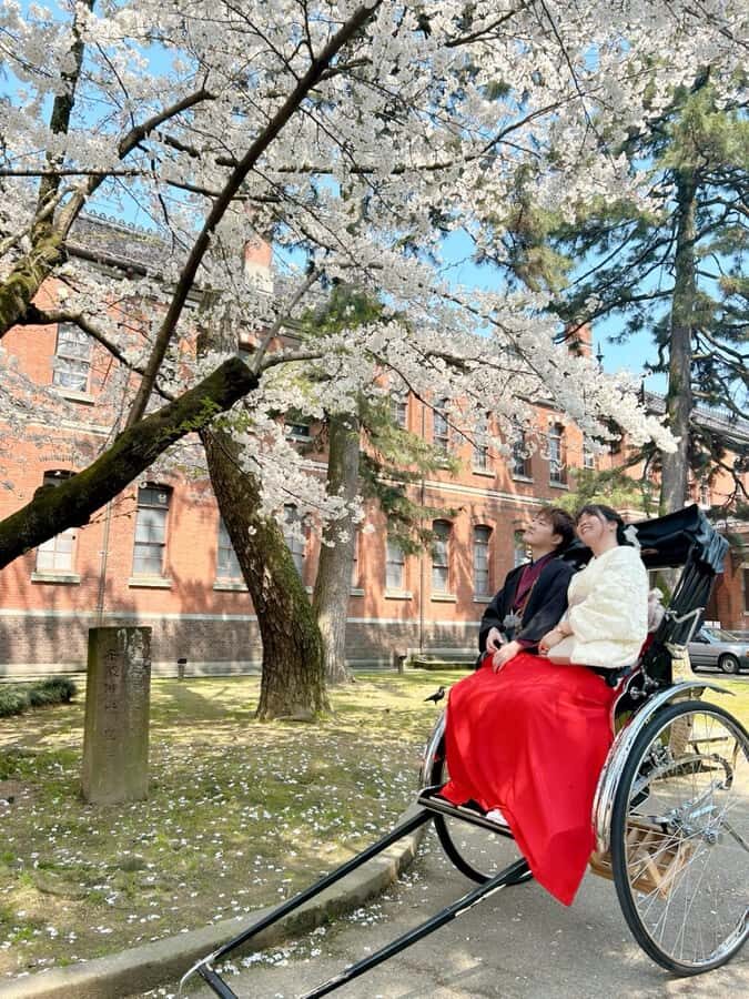 Kanazawa:Traditional Experience -kimono rent at wargo - Choosing your kimono: from traditional patterns to modern looks