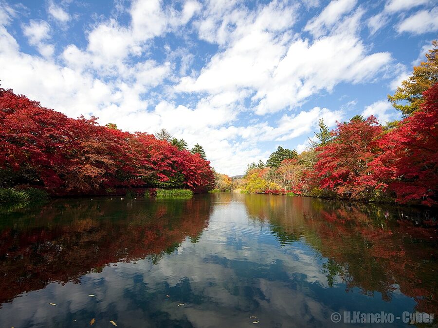 Kumoba Pond Karuizawa autumn foliage reflected in water