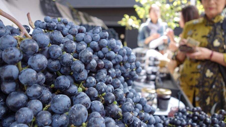 Blueberry market stall in Karuizawa