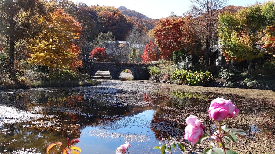 Wooden bridge over a forested stream in Karuizawa