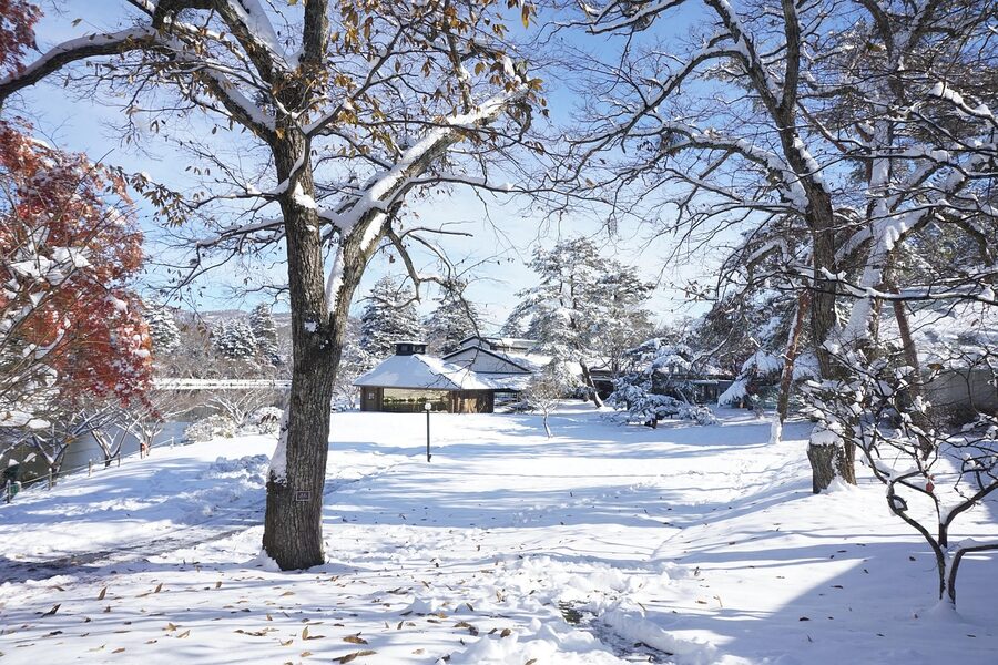 Forested back streets of Karuizawa with snow on the ground