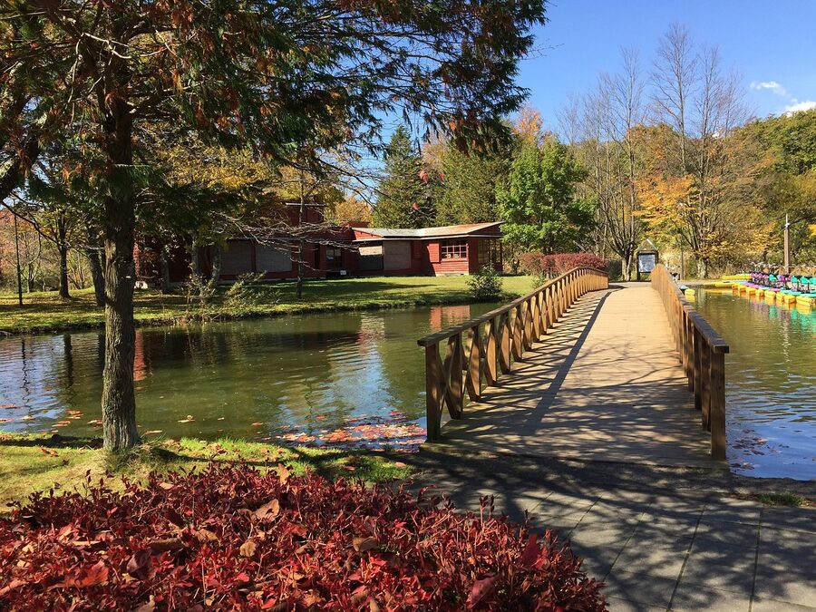 Karuizawa Taliesin pond with bridge in autumn