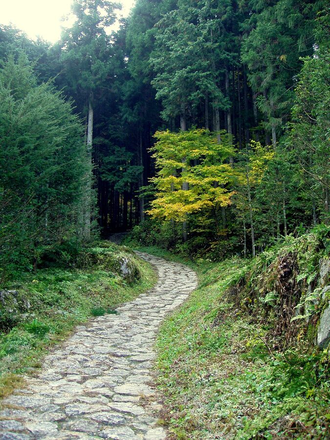 The Nakasendo trail through forest between Magome and Tsumago