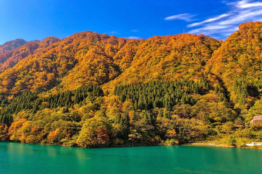 Kurobe Gorge Railway crossing a steel bridge in autumn