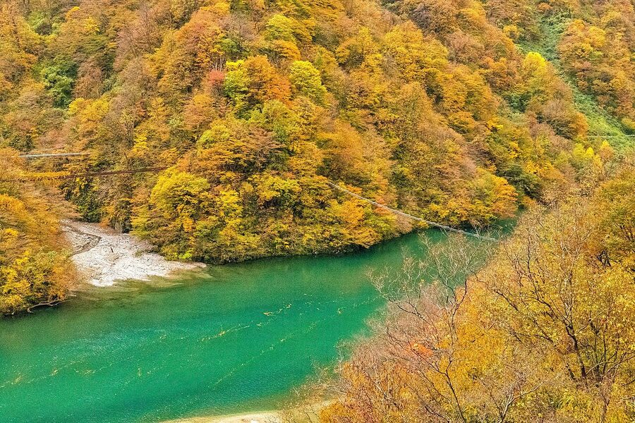 Autumn-coloured maples along Kurobe Gorge railway line