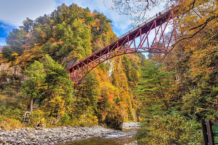 Autumn maple foliage above Kurobe Gorge railway