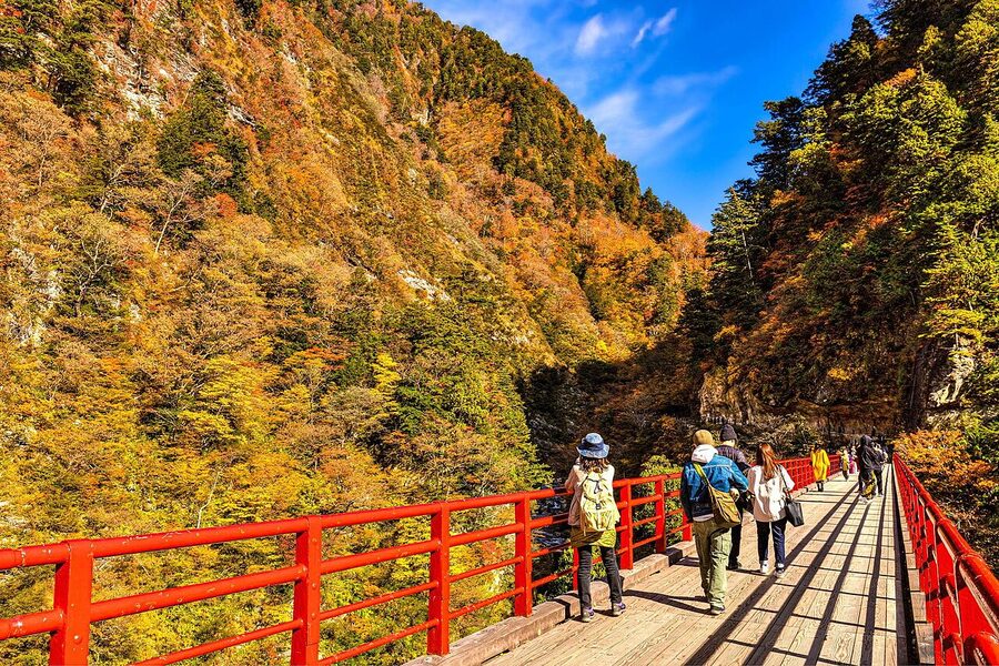 Autumn Kurobe Gorge train through forest