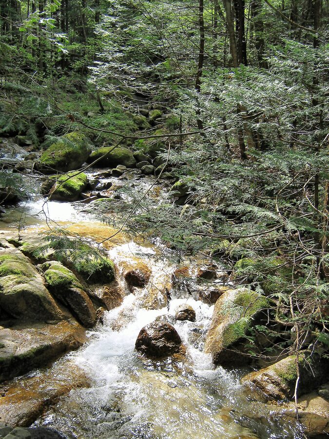 Forest trail near the Magome-Tsumago pass