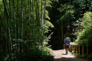 Magome & Tsumago Nakasendo Trail Day Hike with Government-Licensed Guide - The guide experience: what you actually get on the ground