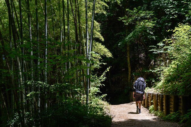 Magome & Tsumago Nakasendo Trail Day Hike with Government-Licensed Guide - The guide experience: what you actually get on the ground