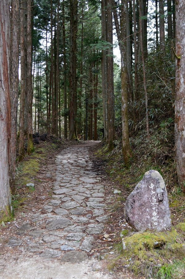 Cobblestone section of the Nakasendo trail between Magome and Tsumago