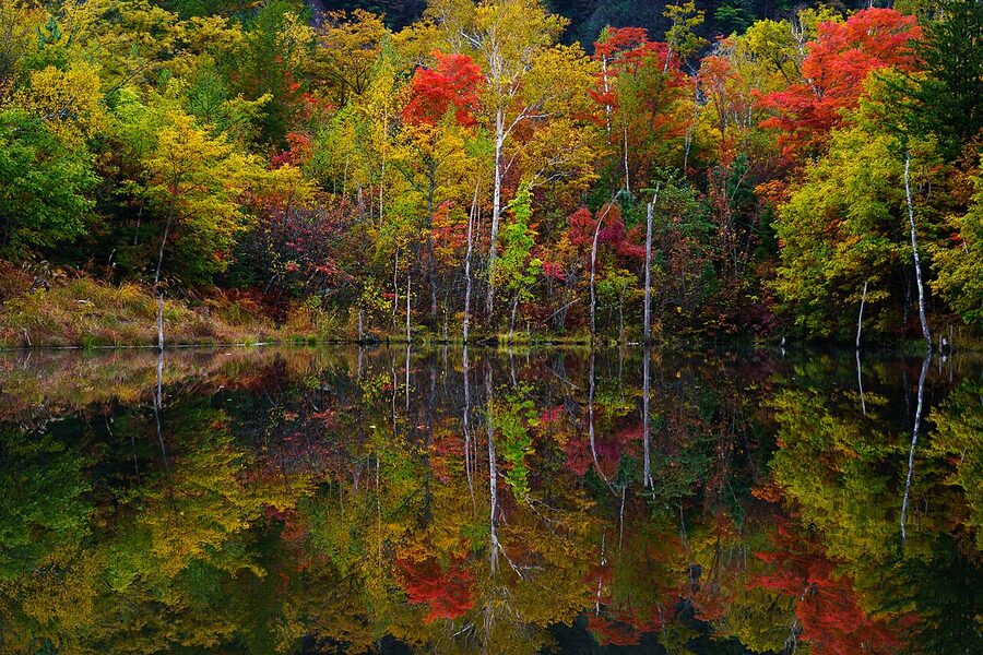 Maime Pond on Norikura plateau