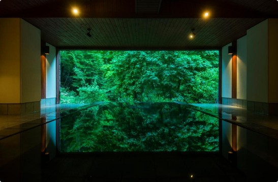 Tobira Onsen Myojinkan ryokan in the forested valley above Matsumoto