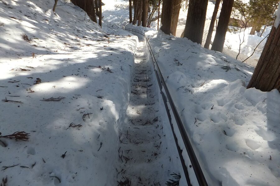 Togakushi Shrine cedar-lined approach