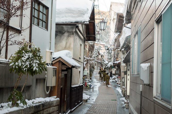 Nagano Private Two Day Tour - Who this Nagano private tour is best for