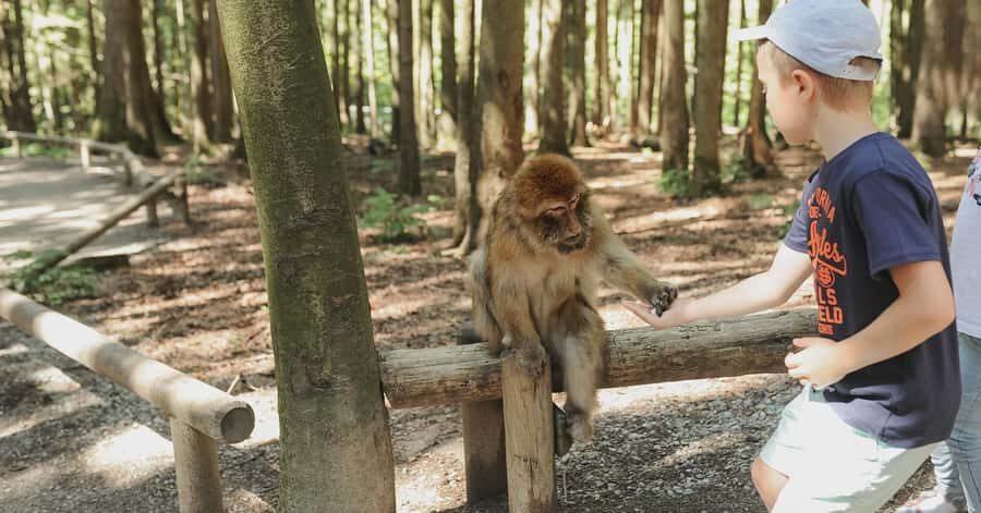 Nagano: Snow Monkey Private Instagramable Day Tour Low Price - Jigokudani Snow Monkey Park: hot springs and winter viewing