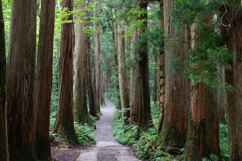 Nagano: Snow Monkeys & Togakushi Shrine Two-Spot in-One Day - Price and Value: What You’re Really Paying For ($202 pp)