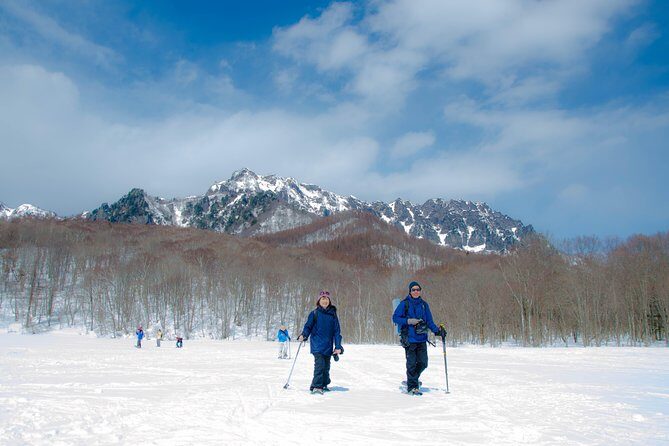 Nagano Snowshoe Hiking Tour - Key points at a glance