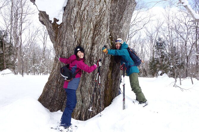 Nagano Snowshoe Hiking Tour - Stop 2: Lake Kagami—the frozen-lake moment