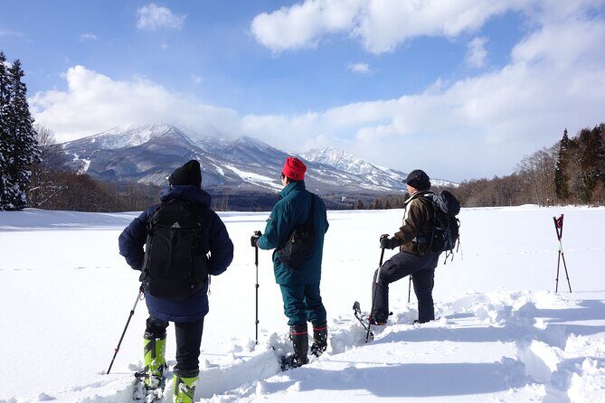Nagano Snowshoe Hiking Tour - Stop 3: Myoko-Togakushi Renzan National Park and the giant-tree payoff