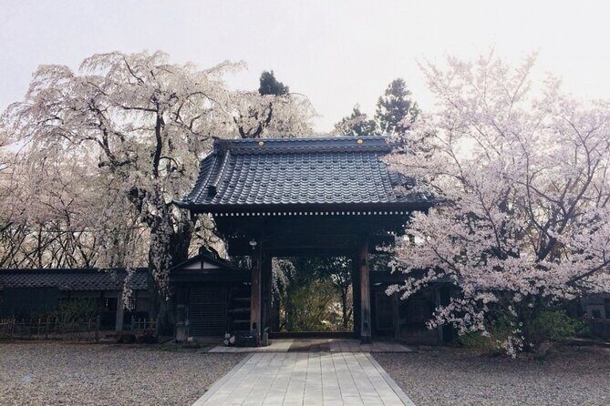 Nagano Spring: 1-Day Cherry Blossoms & Snow Monkeys Guided Tour - The 9-hour flow: start at Nagano Station, then three blocks that make sense