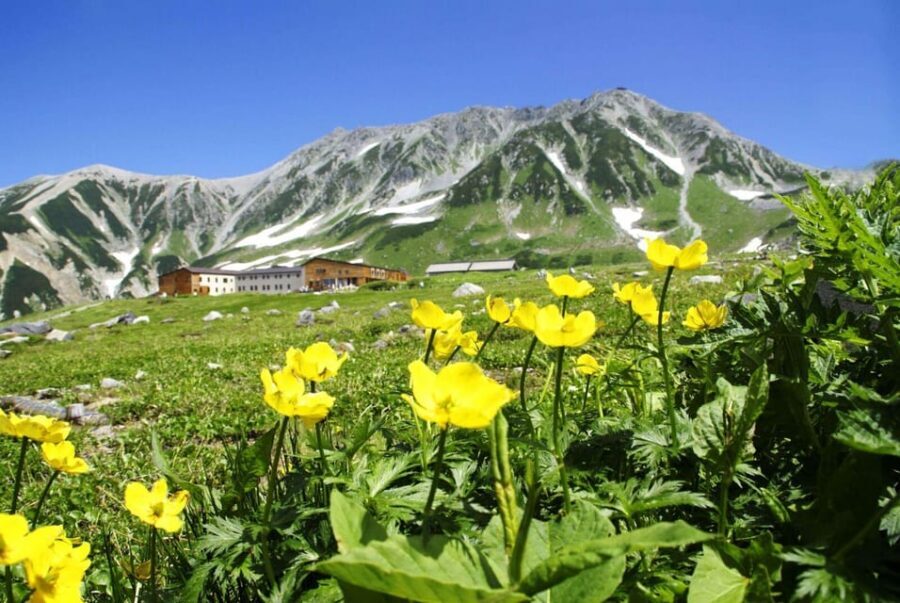 Nagano: Tateyama-Kurobe Guided Walking Tour - Tateyama-Kurobe Alpine Route in a single, guided day