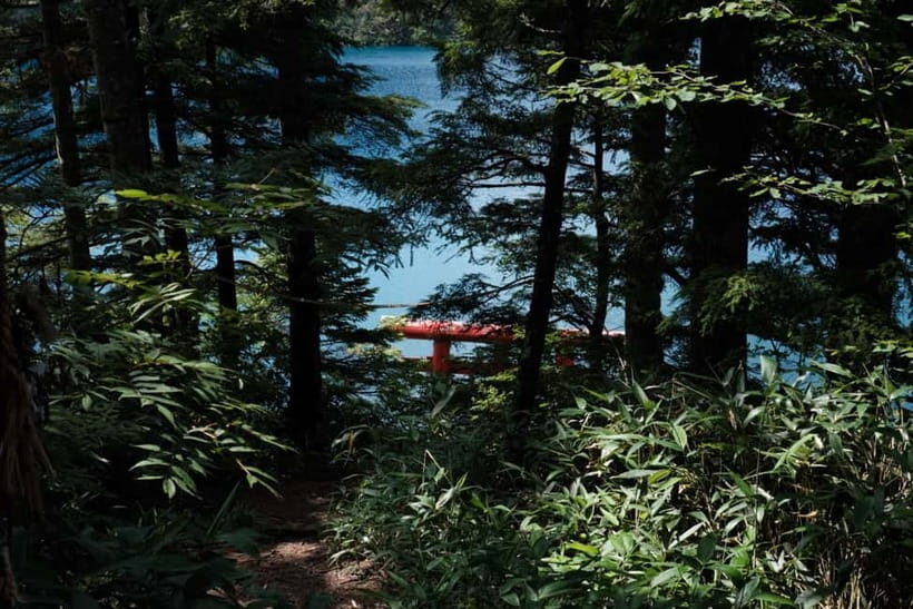 Nagano UNESCO Park: Emerald Acid Lake & Ghibli Onsen Town - Wildlife chances: macaques, stoats, and Japanese serow