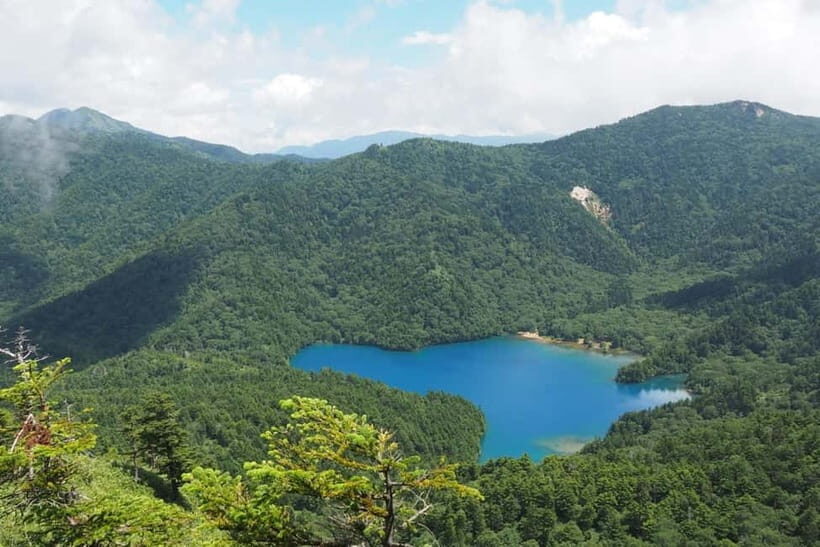 Nagano UNESCO Park: Emerald Acid Lake & Ghibli Onsen Town - Lunch options and taste-seeking without the stress