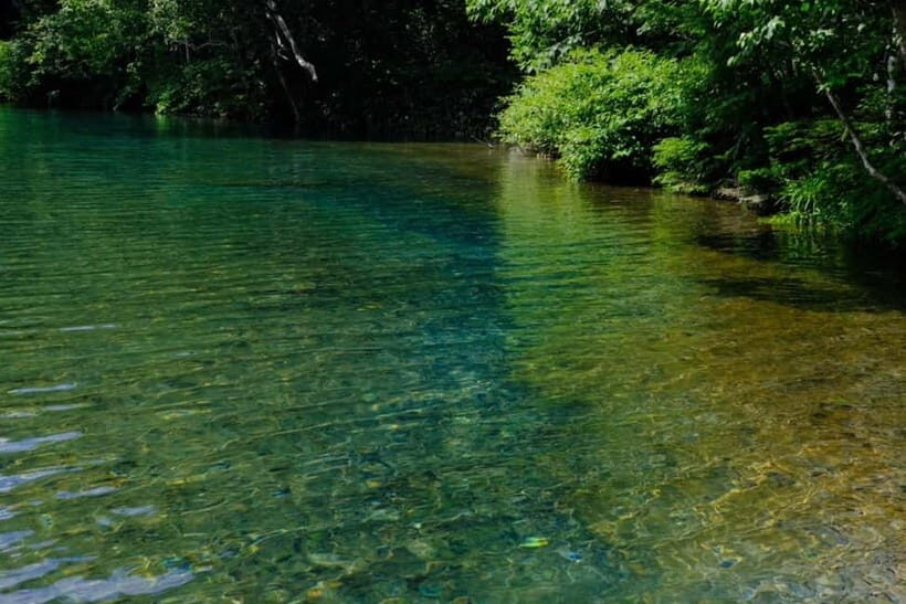 Nagano UNESCO Park: Emerald Acid Lake & Ghibli Onsen Town - Choosing your pickup: Togakushi, Nagano, or Obuse